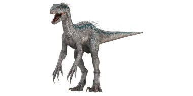 Velociraptor dinozorunun gerçekçi tasviri