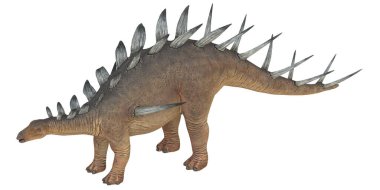Gerçekçi Stegosaurus dinozor çizimi.