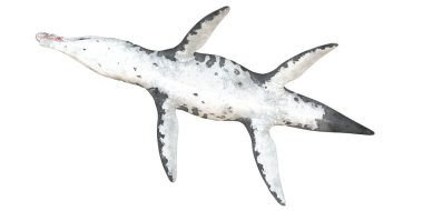 Tarih öncesi bir deniz sürüngeninin tasviri.