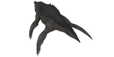 Tarih öncesi deniz sürüngeni modeli sergileniyor..