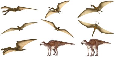 Uçan Pterozor 'lar ve yürüyen dinozor çizimleri