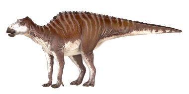 Bir Hadrosaurus dinozorunun detaylı canlandırması.