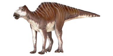 Bir Iguanodon dinozorunun detaylı çizimi.