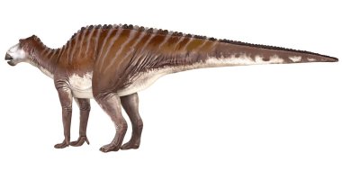 Profil görünümünde gerçekçi dinozor çizimi