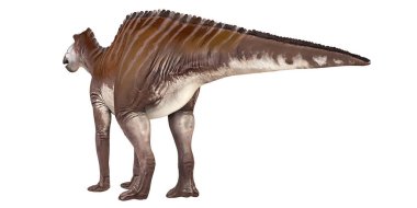 Beyaz arka planda gerçekçi bir dinozor heykeli