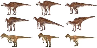 Çeşitli dinozor türleri çizimleri.