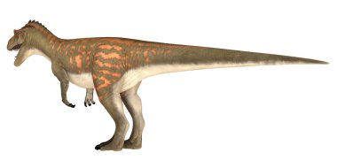 Etçil bir dinozorun gerçekçi tasviri