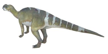 Beyaz arka planda canlı dinozor kopyası