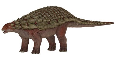 Zırhlı bir dinozorun gerçekçi modeli.