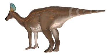 Bir Parasaurolophus dinozorunun gerçekçi tasviri.