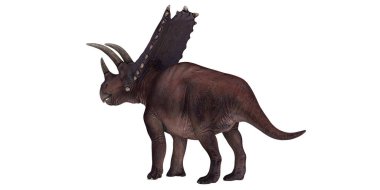 Bir Styracosaurus dinozorunun detaylı modeli.