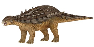 Zırhlı bir Ankylosaurus 'un detaylı modeli.