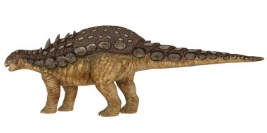 Tarih öncesi bir ankylosaurus 'un detaylı modeli.