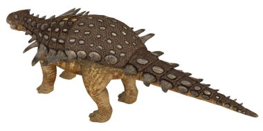 Zırhlı dinozor Ankylosaurus 'un gerçekçi modeli..