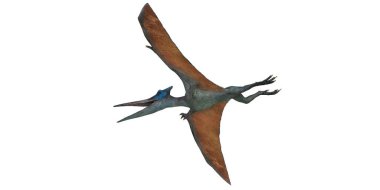 Pterosaur kanatlarını açmış uçuyor