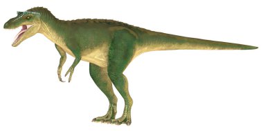 Yeşil T-Rex dinozoru gürlüyor ve dimdik ayakta.