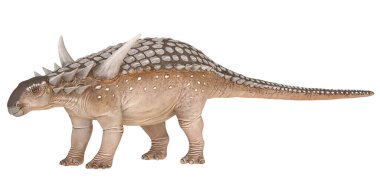 Zırhlı bir dinozorun ayrıntılı modeli..