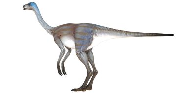 Beyaz arka planda gerçekçi bir dinozor modeli