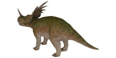 Gerçekçi seratopsid dinozor çizimi