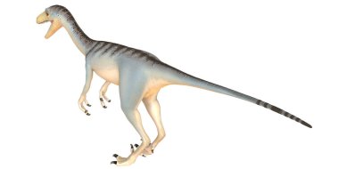Velociraptor dinozorunun gerçekçi 3 boyutlu modeli.