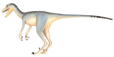 Velociraptor dinozorunun gerçekçi bir çizimi.