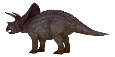 Triceratops dinazorunun gerçekçi tasviri