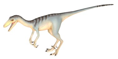 Velociraptor dinozorunun gerçekçi 3D canlandırması.