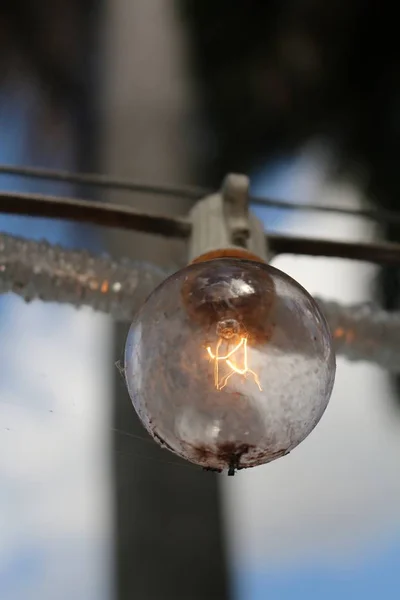 裏庭の電球 — ストック写真