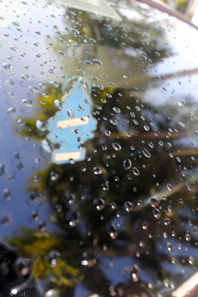 Rain water drops in the car wind shield