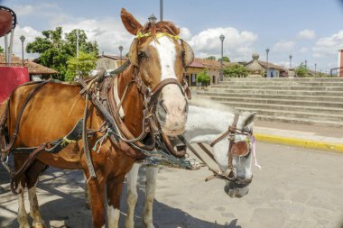 Granada Nikaragua'dan 2 at