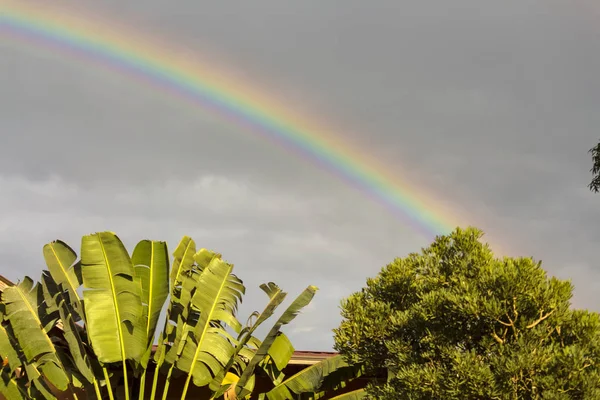 Arc Ciel Pâques Jarabacoa Photos De Stock Libres De Droits