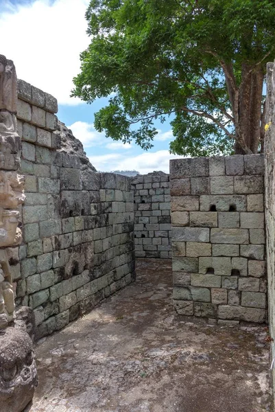 Copan Aztec Architecture Honduras — стоковое фото