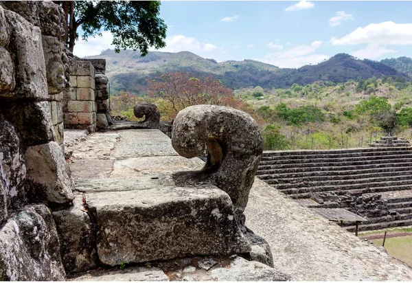 Copan Архітектура Ацтекской Гондурасу — стокове фото