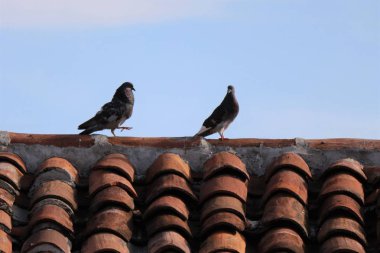 Granada Nikaragua gezimizin anıları