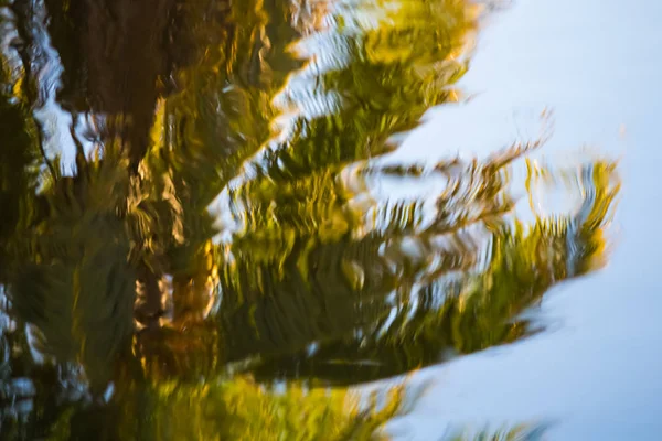Flod Pelare Och Träd Reflektioner — Stockfoto
