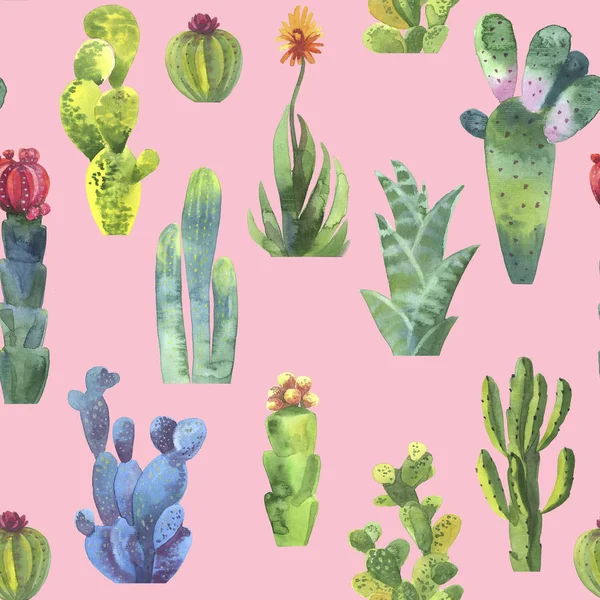 Cacti Dikişsiz desen. Kağıt veya Scrapbooking sarma için suluboya kaktüsler deseni