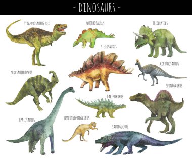 El çizilmiş gerçekçi dinosaurus suluboya seti. Gerçekçi dino rex, spinosaurus,corhythosaurus,triceratops,stegosaurus,apatosaurus,saurosuchus,parasaurolophus vb