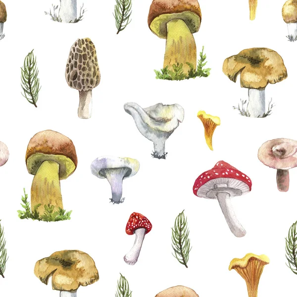 Forest Mashrooms Aquarel Patroon Voor Het Verpakken Van Naadloze Patroon — Stockfoto