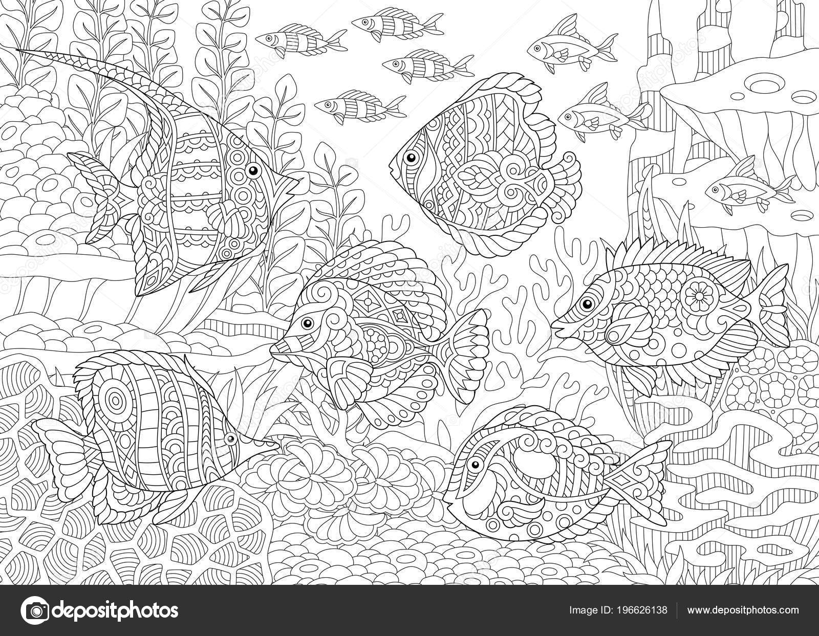 Onderwater Wereld Van Oceaan Shoal Van Tropische Vissen