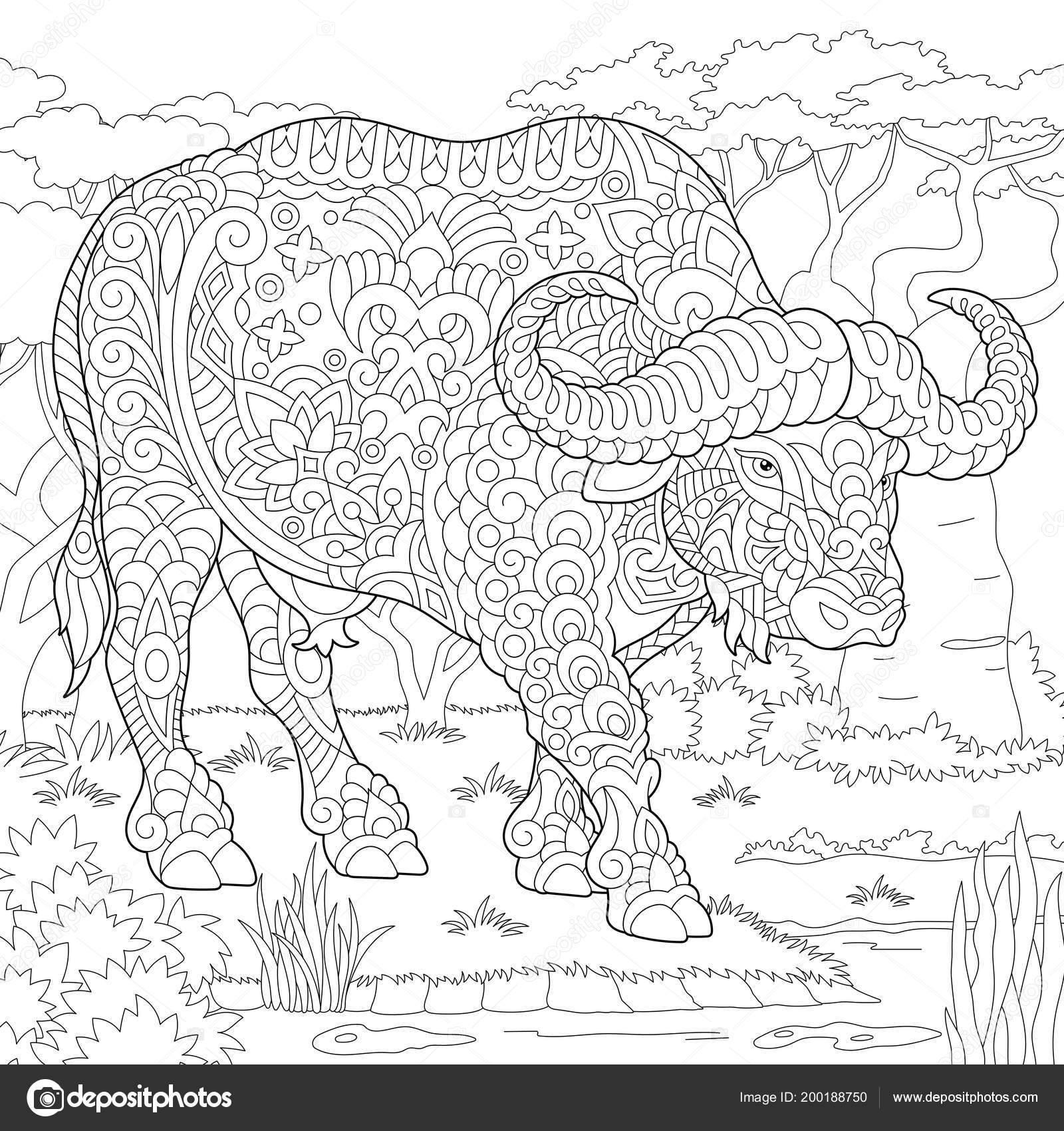 Bison animal coloring book for adults vector Stock Vector by