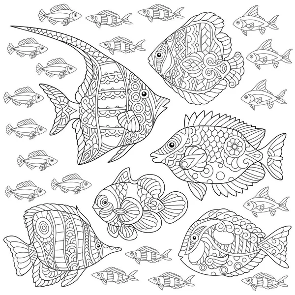 Collection Tropical Fishes Coloring Page Colouring Picture Adult Coloring Book — Stock Vector