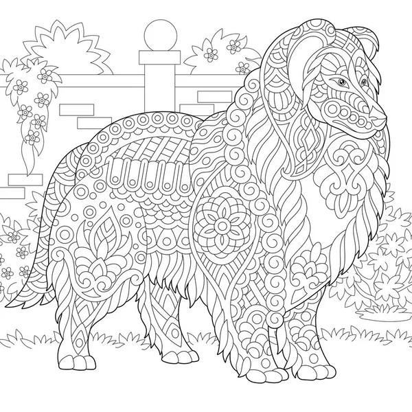 Rough Collie Dog Shetland Sheepdog Sheltie Coloring Page Colouring Picture — Stock Vector