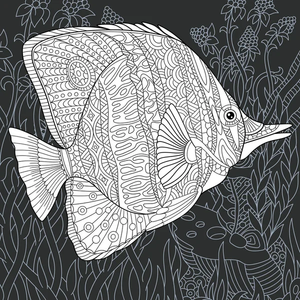Schmetterlingsfische Linienstil Gezeichnet Ozean Hintergrund Schwarz Weißen Farben Auf Kreidetafel — Stockvektor