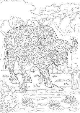 Boyama sayfası. Boyama kitabı. Boğa (buffalo, Bizon) ile boyama resim. Doodle ve zentangle öğeleri ile çizim antistress serbest kroki.