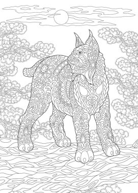 Boyama sayfası. Boyama kitabı. Yaban kedisi ile boyama resmi. Doodle ve zentangle öğeleri ile çizim antistress serbest kroki.