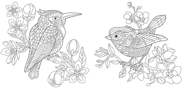 Coloring Pages Coloring Book Adults Colouring Pictures Kingfisher Canary Bird — Stock Vector