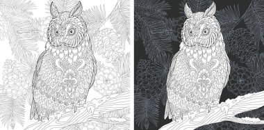 Boyama sayfası. Boyama kitabı. Zentangle tarzda çizilmiş baykuş boyama resimle. Antistress serbest kroki çizim. Vektör çizim.