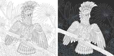 Boyama sayfası. Boyama kitabı. Boyama resimle Kakadu papağan zentangle tarzda çizilmiş. Antistress serbest kroki çizim. Vektör çizim.