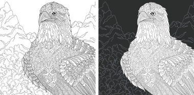 Kartal. Boyama sayfası. Boyama kitabı. Boyama resimle kel kartal zentangle tarzda çizilmiş. Antistress serbest kroki çizim. Vektör çizim.