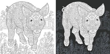 Domuz. Boyama sayfası. Boyama kitabı. Boyama resimle zentangle tarzda çizilmiş domuzcuk. Antistress serbest kroki çizim. Vektör çizim.